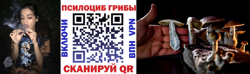 Галлюциногенные грибы Magic Shrooms  Купить  Светлый 